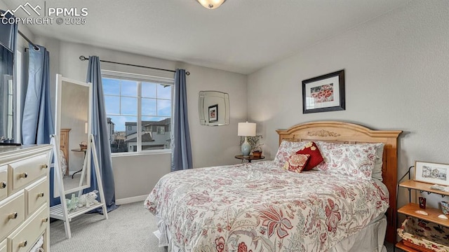 bedroom with light colored carpet