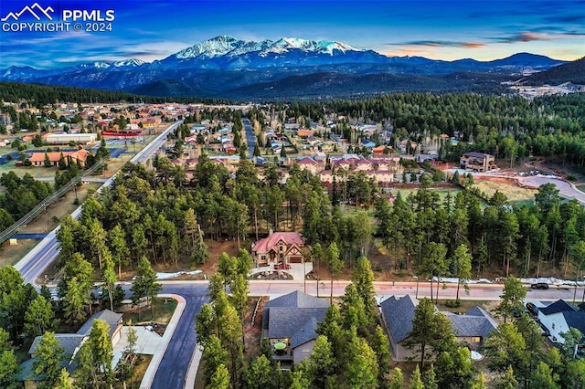 birds eye view of property with a mountain view