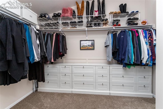 spacious closet with carpet flooring