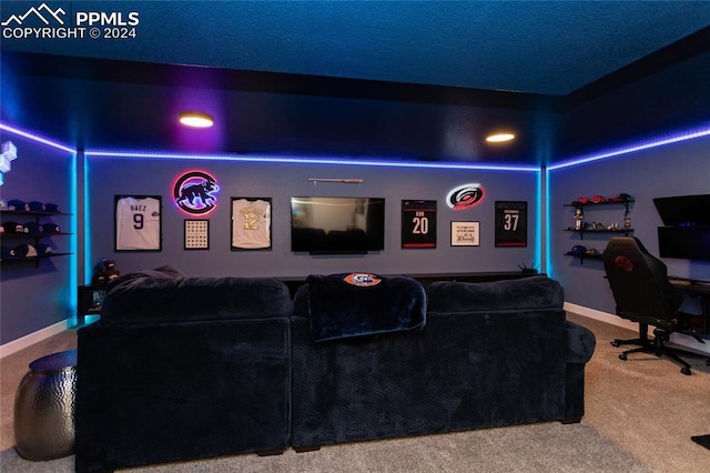 home theater room featuring carpet floors