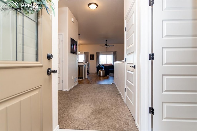 hallway with carpet floors