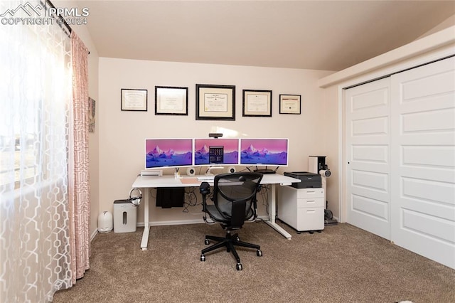 view of carpeted office space