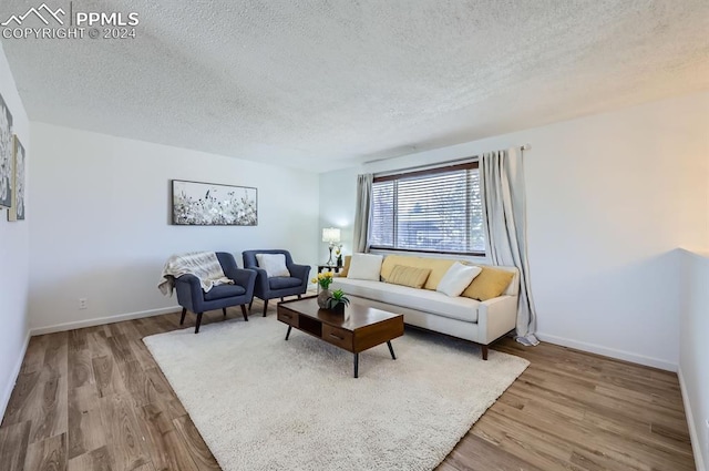 living room featuring wood-type flooring and a textured ceiling