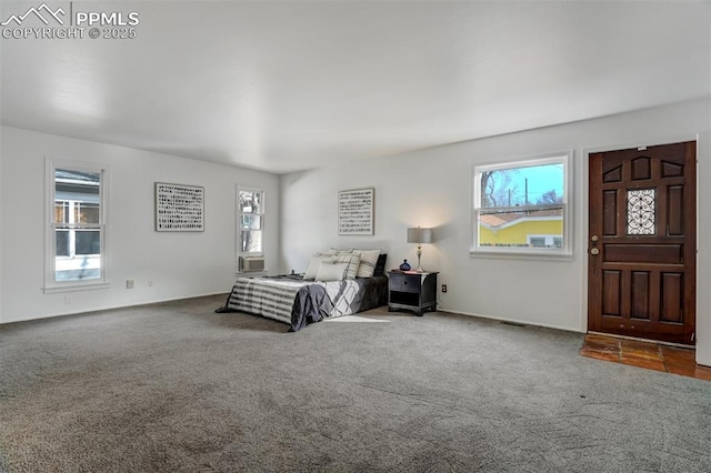 carpeted bedroom with multiple windows