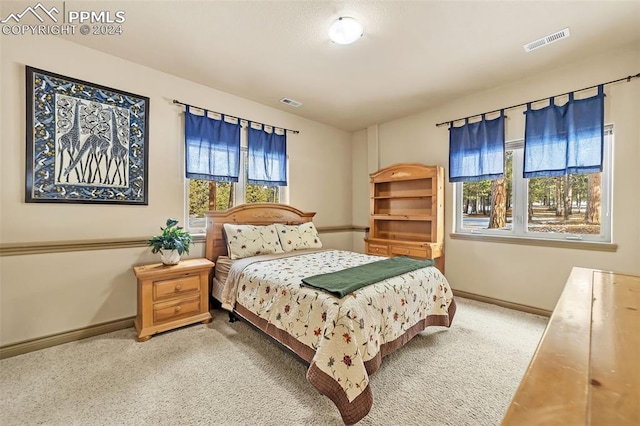 view of carpeted bedroom