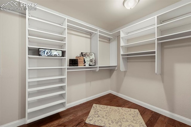 spacious closet featuring dark wood-type flooring