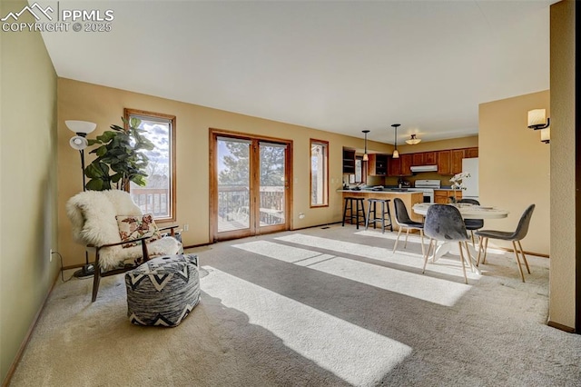 view of carpeted living room