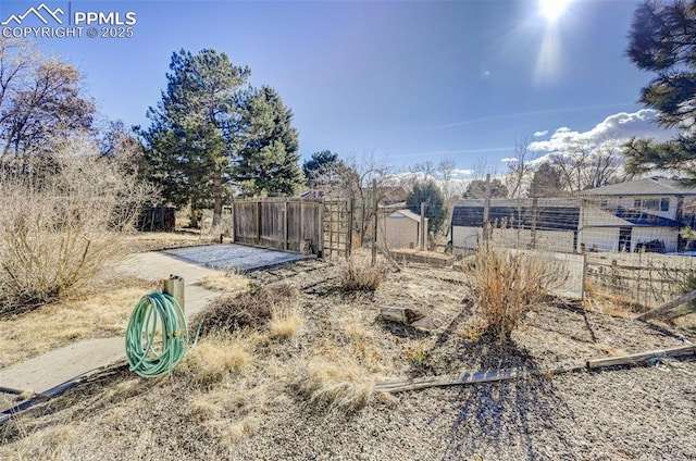 view of yard featuring a patio area