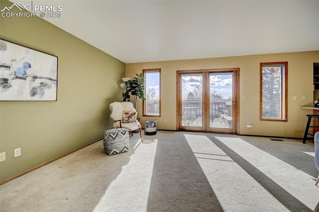 living area featuring light colored carpet