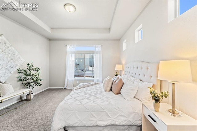 carpeted bedroom with a tray ceiling