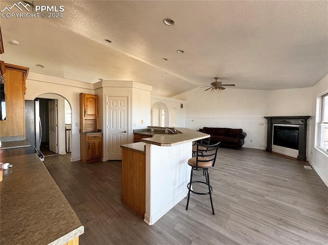 kitchen featuring dark hardwood / wood-style floors, vaulted ceiling, ceiling fan, and a center island with sink