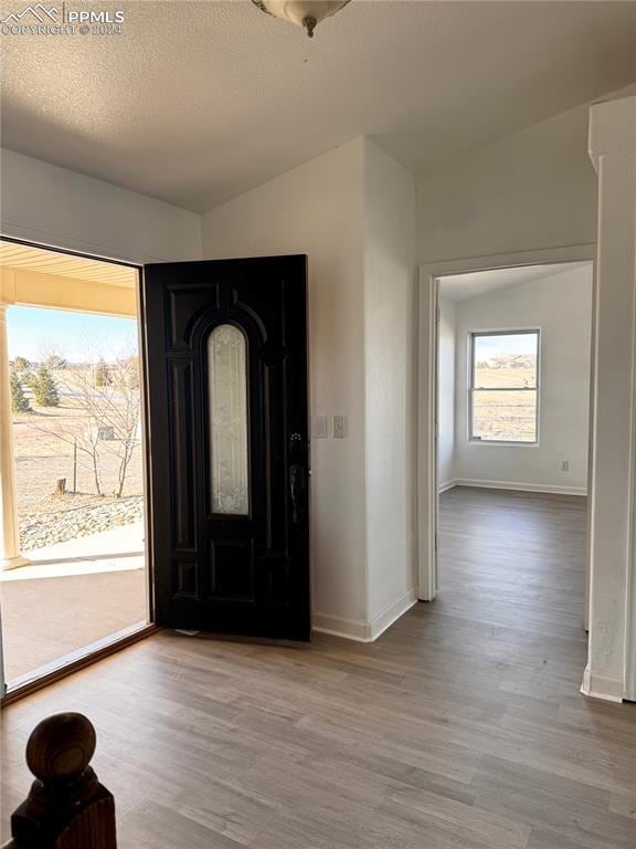 foyer with hardwood / wood-style floors, a textured ceiling, and a wealth of natural light