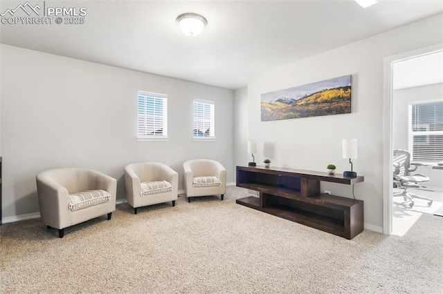 sitting room with carpet flooring