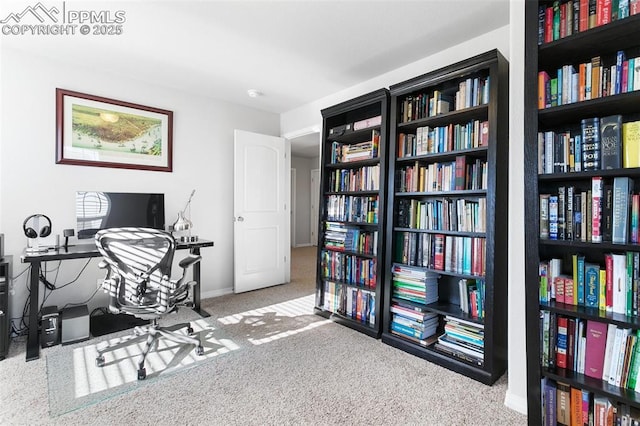 home office with light colored carpet