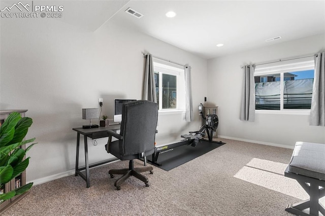 view of carpeted office space