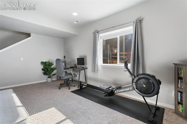 exercise area with carpet