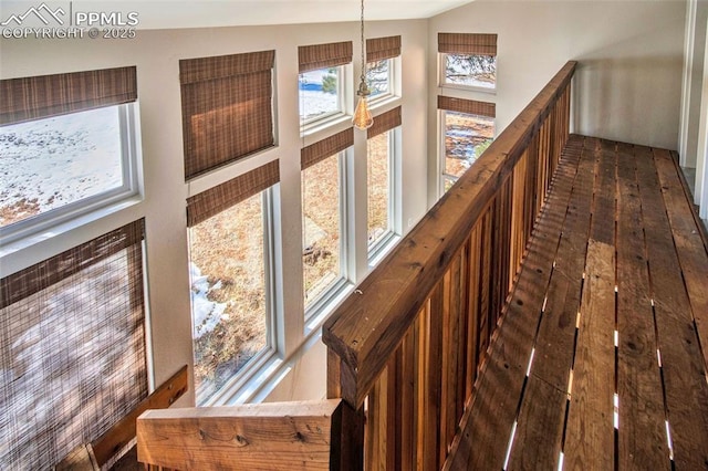 hallway with a towering ceiling and dark hardwood / wood-style floors