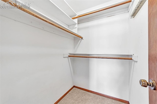 spacious closet with carpet flooring