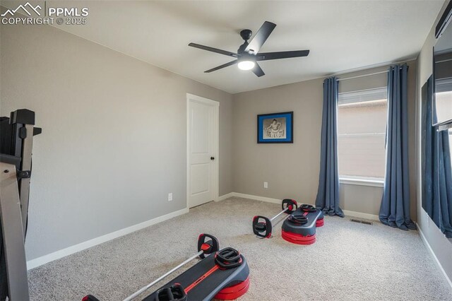 interior space featuring carpet flooring, ceiling fan, and plenty of natural light