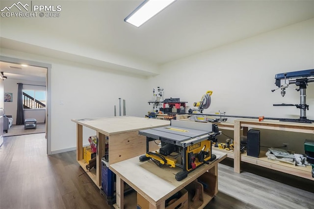 kitchen featuring wood-type flooring