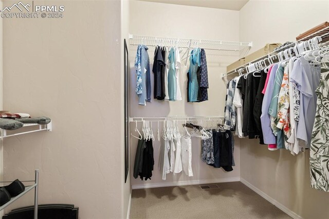 spacious closet featuring carpet