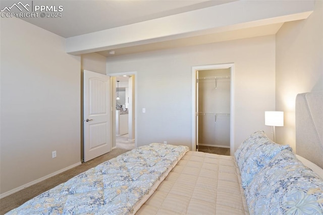 bedroom featuring carpet flooring, a spacious closet, and a closet