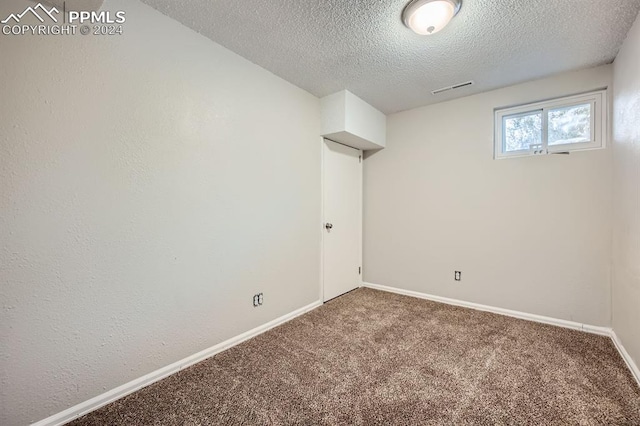 interior space featuring carpet and a textured ceiling