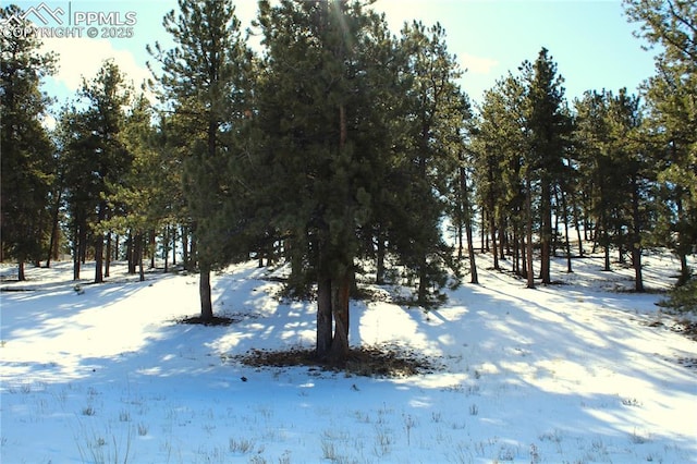 view of snowy yard