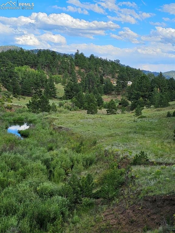 view of local wilderness with a water view