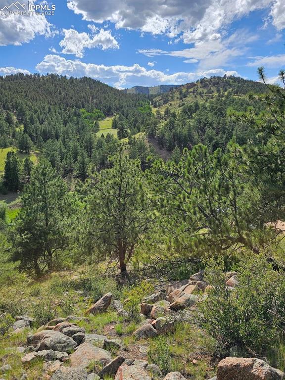 property view of mountains