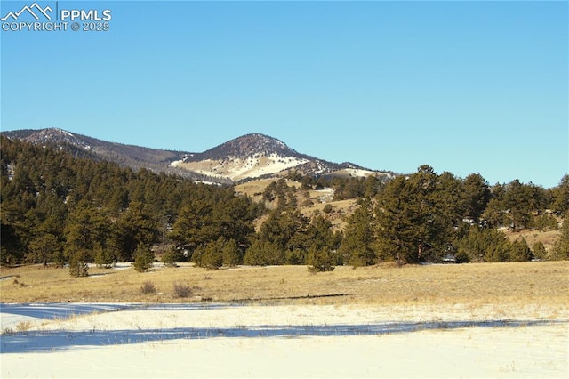 view of mountain feature