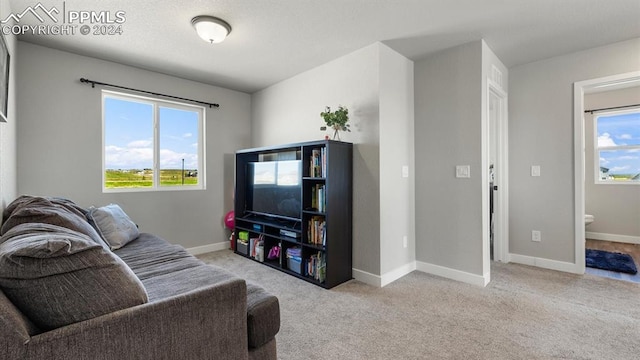 13358 Savannah Falls Ct, Peyton, CO 80831 - living area featuring baseboards, carpet flooring, and a healthy amount of sunlight