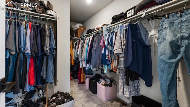 13358 Savannah Falls Ct, Peyton, CO 80831 - walk in closet with carpet