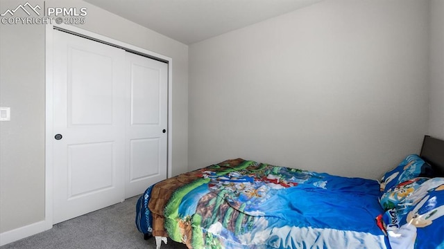 13358 Savannah Falls Ct, Peyton, CO 80831 - bedroom with carpet and a closet