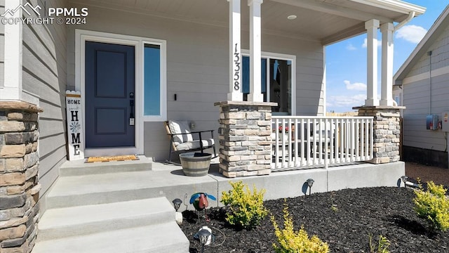 13358 Savannah Falls Ct, Peyton, CO 80831 - view of exterior entry featuring covered porch