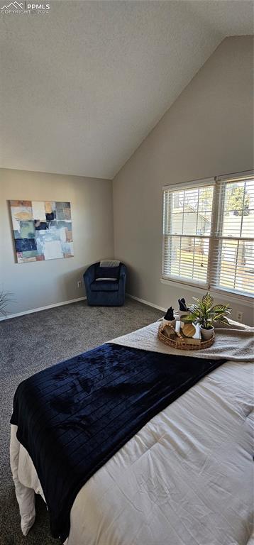 carpeted bedroom with a textured ceiling and vaulted ceiling