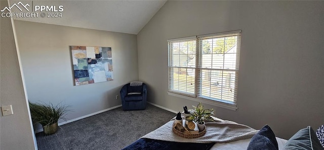 living area with dark colored carpet and vaulted ceiling