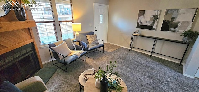 sitting room featuring carpet and a wealth of natural light