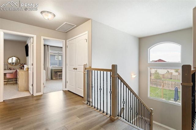 hall featuring plenty of natural light and hardwood / wood-style flooring