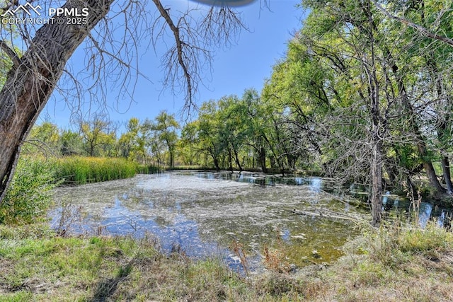 view of local wilderness featuring a water view