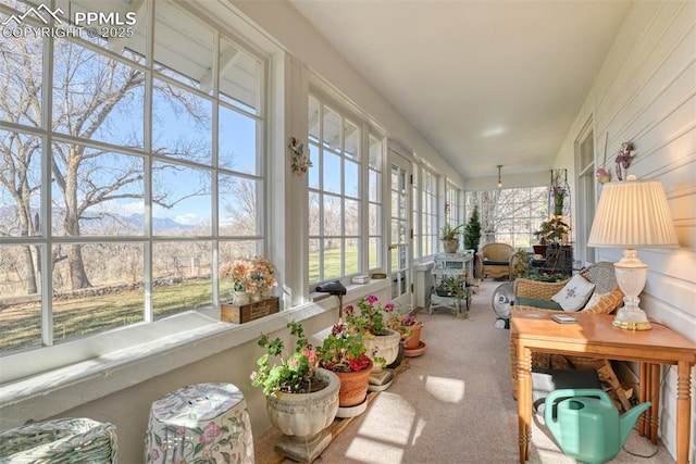 sunroom / solarium featuring a wealth of natural light