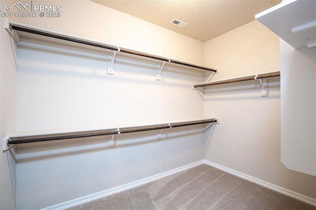 spacious closet with carpet floors