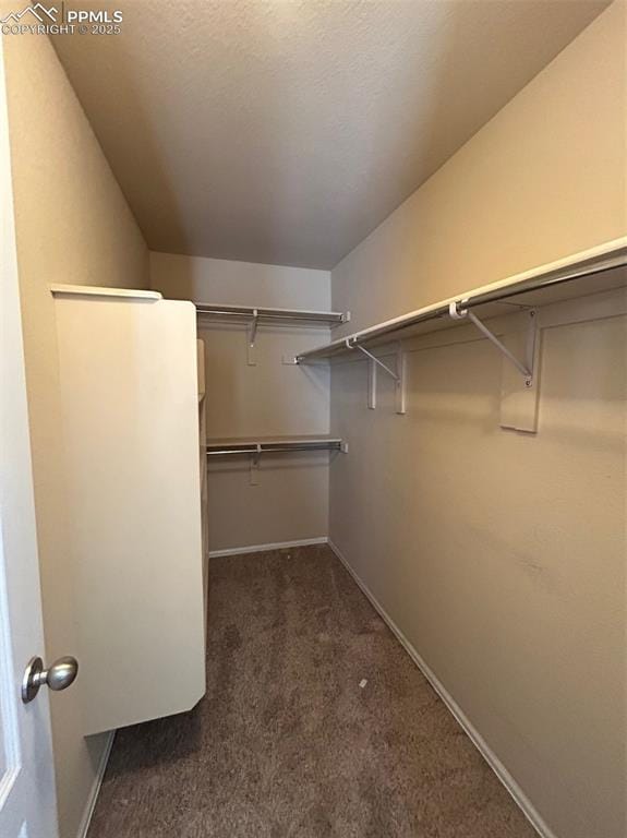 walk in closet with dark colored carpet