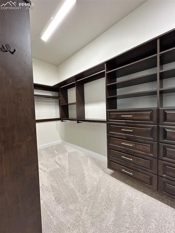 spacious closet with light colored carpet