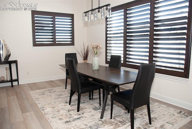 dining room featuring a notable chandelier, a healthy amount of sunlight, and wood-type flooring