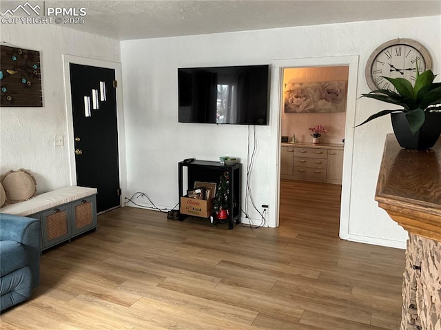 living room with light wood-type flooring