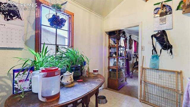 interior space featuring ornamental molding and lofted ceiling