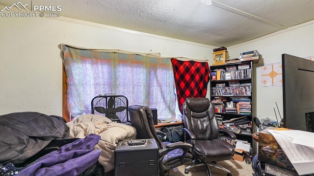 office area featuring carpet and a textured ceiling