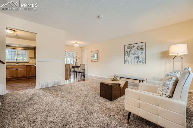 carpeted living room featuring sink