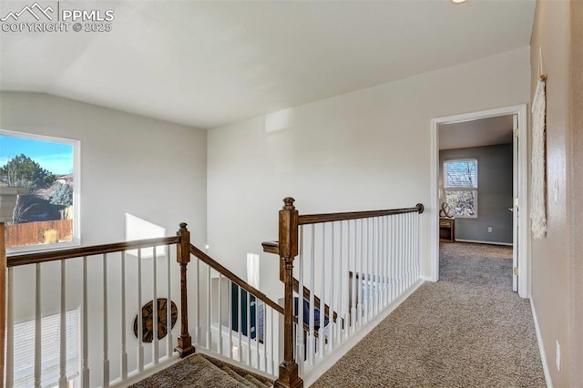 corridor with carpet, vaulted ceiling, and a healthy amount of sunlight